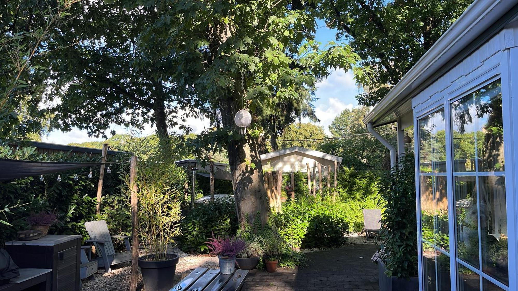 Het Verwende Nest Lodge, Wellness Lodge, Hottub & Sauna 福尔特赫伊曾 外观 照片